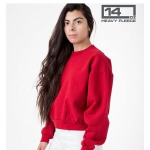 Los Angeles American Apparel Mockneck Fleece M